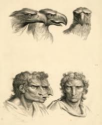 Fisiognomica Leonardo,Fonte:(theswedishparrot.com)